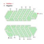Polly DP9 13S7P Nickel Strip 48V wiring guide