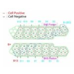 13S4P 48V Nickel strip for Polly dp5 drawing